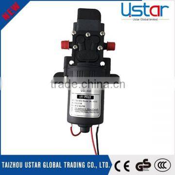 Agriculture overflow intelligent type 12 volt high pressure water pump