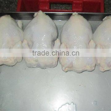 price whole frozen chicken