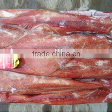 frozen Chinese loligo