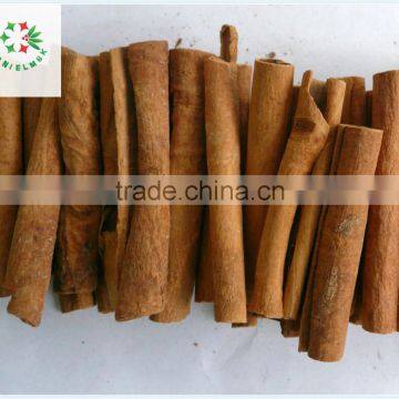 China Origin 8cm AA Grade Cinnamon Stick