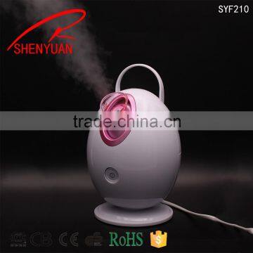 DIY Fruit Facial Sauna Ionic Facial Steamer with warm towel function