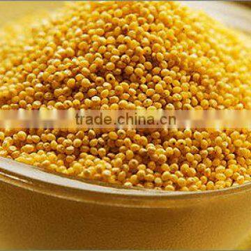 Hulled Millet From Ukraine
