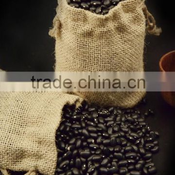 Common cultivation black kidney bean