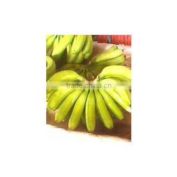 Fresh Sweet Banana photo-2