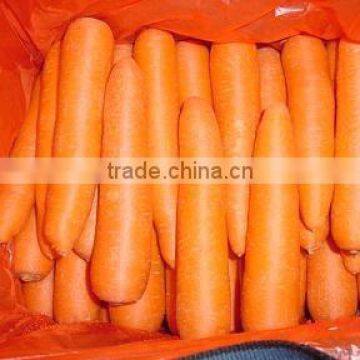 Fresh Carrot 2016 Crop photo-5