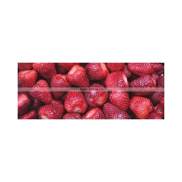 Exporting frozen strawberry from egypt