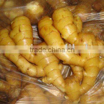 fresh new crop ginger