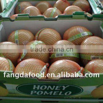 Pomelo/Fresh Pomelo