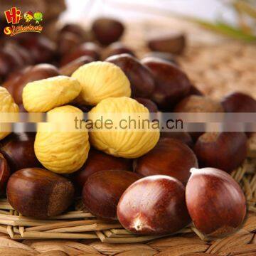 Natural sweet Easy to peel hebei Fresh Chestnuts