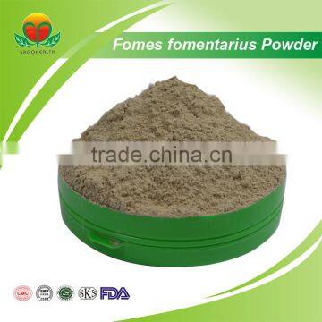 2016 Hot Sale Fomes Fomentarius Powder