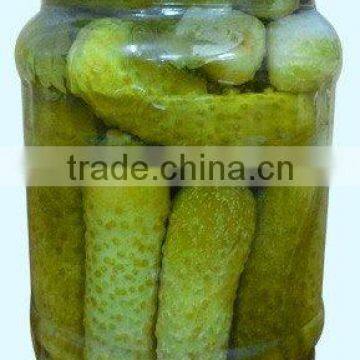 Pickled Cucumber 6-9cm