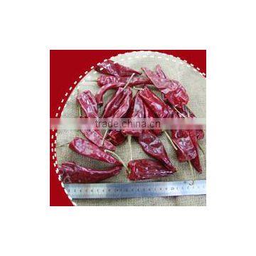 Dry red chilli,tianying chilli,yidu chilli,jinta chilli