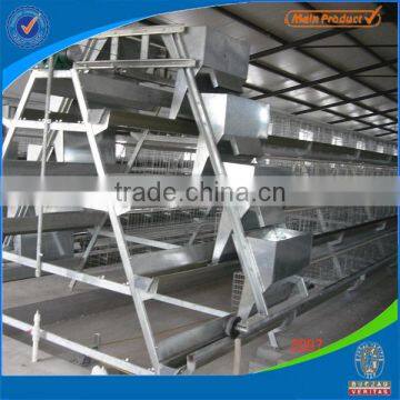 Automatic Layer Poultry Cage for Poultry Farm