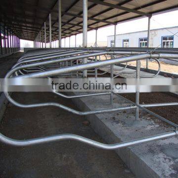 Livestock Farm Equipment Hot Galvanized Cattle Stall