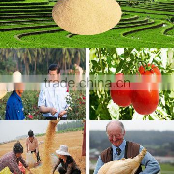 Pingxiang HAY Iron Amino acid base fertilizer organic nitrogen Chelation of soil nutrients