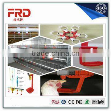 FRD Battery chicken cage/chicken egg layer cages for sale/used chicken cages for sale