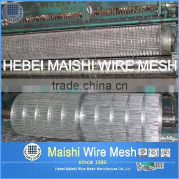 Small Hole Welded Mesh Cage for Birds photo-5
