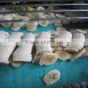 Stainless Steel Vegetable Cutting Machine Fresh Onion Electric Vegetable Cutter photo-2