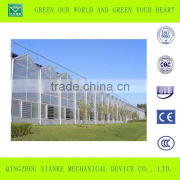 Factory Supply Bottom Price PC Sheet Cover Tunnel Greenhouse photo-3