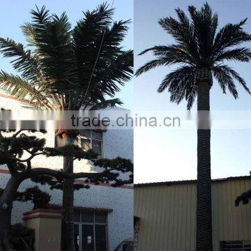 APM012 GNW 20ft coconut tree artificial plastic palm tree for Park Landscaping Decoration outdoor use