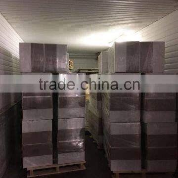 Live Canadian Lobster photo-4