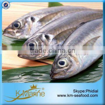 Zhejiang Seasoned Frozen Horse Mackerel