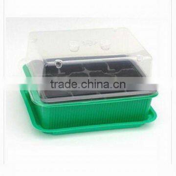 Seeds Plant Box
