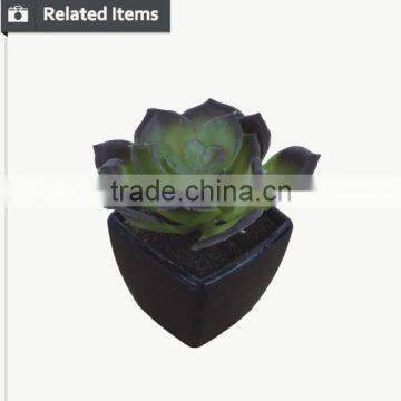 Customized Design Sweet Desert Rose for Table Decoration photo-5