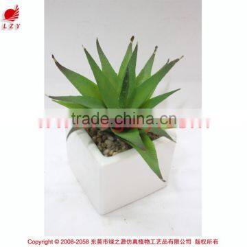 Artificial Mini Aloe Little Plants Succulents Plants Artificial Mini Succulents photo-3