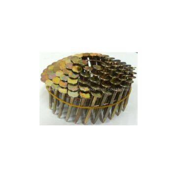 Pallet Coil Nail photo-3