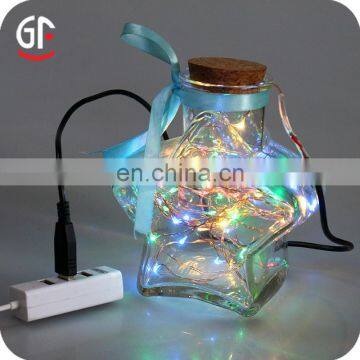 Festival Items USB 5V 10M 33FT 100 LEDs Home Declration Remote Control String Lights for Outdoors photo-4
