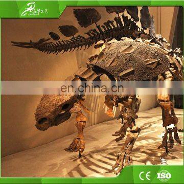 KAWAH Large Dinosaur Skeleton Fossil for Sale photo-5