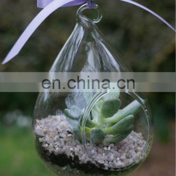 Teardrop Terrarium Hanging Glass Vase Pot