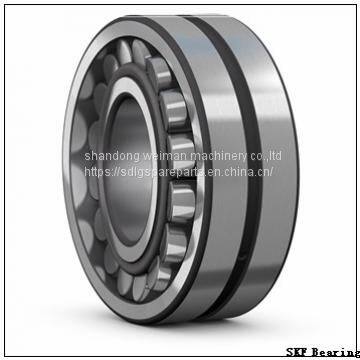 SKF Bearing