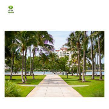 Wanhe Grass 90E Artificial Grass Installation Synthetic Turf for Sale photo-4