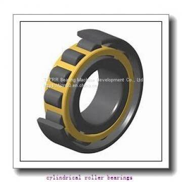 FAG NU309-E-M1A-C3 Cylindrical Roller Bearings