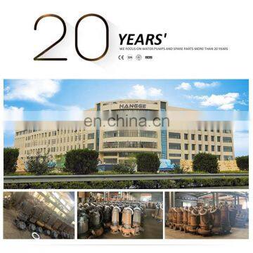 3LSPS dc 12 Volt Submersible Pump Solar Pro photo-4