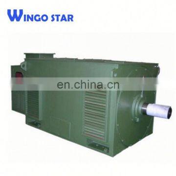 Wingo Star High Voltage y Series Three Phase Powerful Electric Motor 6kv
