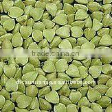 chinese organic buckwheat kernels