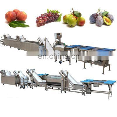 Apple Washing Machine Industry Fruit Washer Machine Automatic Vegetable ashing Line