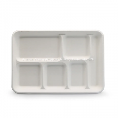 Eco-friendly 6-Compartment Sushi Tray Biodegradable Sugarcane Pulp Wedding Serving Food Tray Disposable