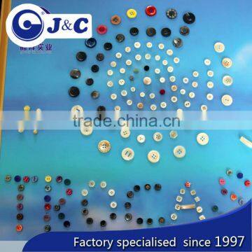 Colourfull Trocas Shell Button in Stock photo-2