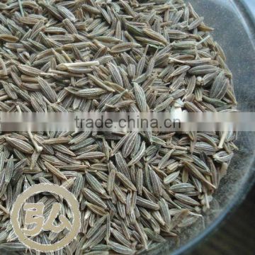 new crops, origin xinjiang China,price for cumin seeds                        
                                                Quality Choice