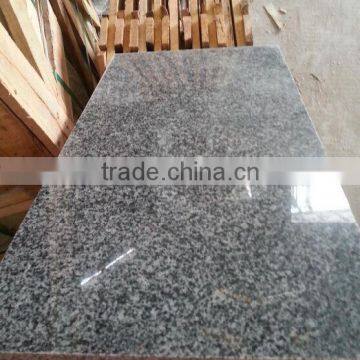 Chinese Cheap Granite Polished G654 Grey Granite On Promotion photo-6