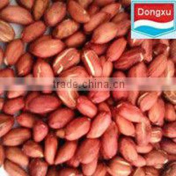 brand red peanut/ peanut kernels