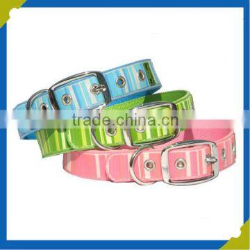 Recently supply used pet collar for dog sample free