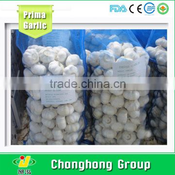 Factory Directly Supply Fresh Garlic with Best Quality