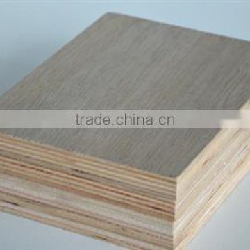 pine birch okoume eucalyptus 18mm commercial plywood