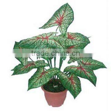 Artificial bonsai,Bonsai,Artificial plant bonsai