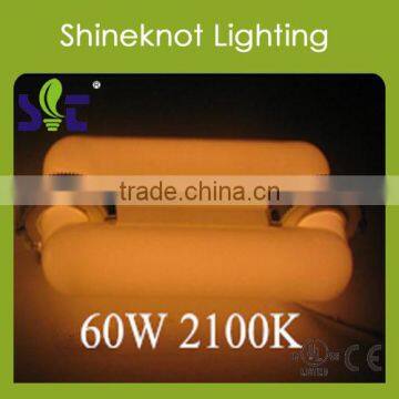 60W Rectangular Magnetic Induction Plant Lamp